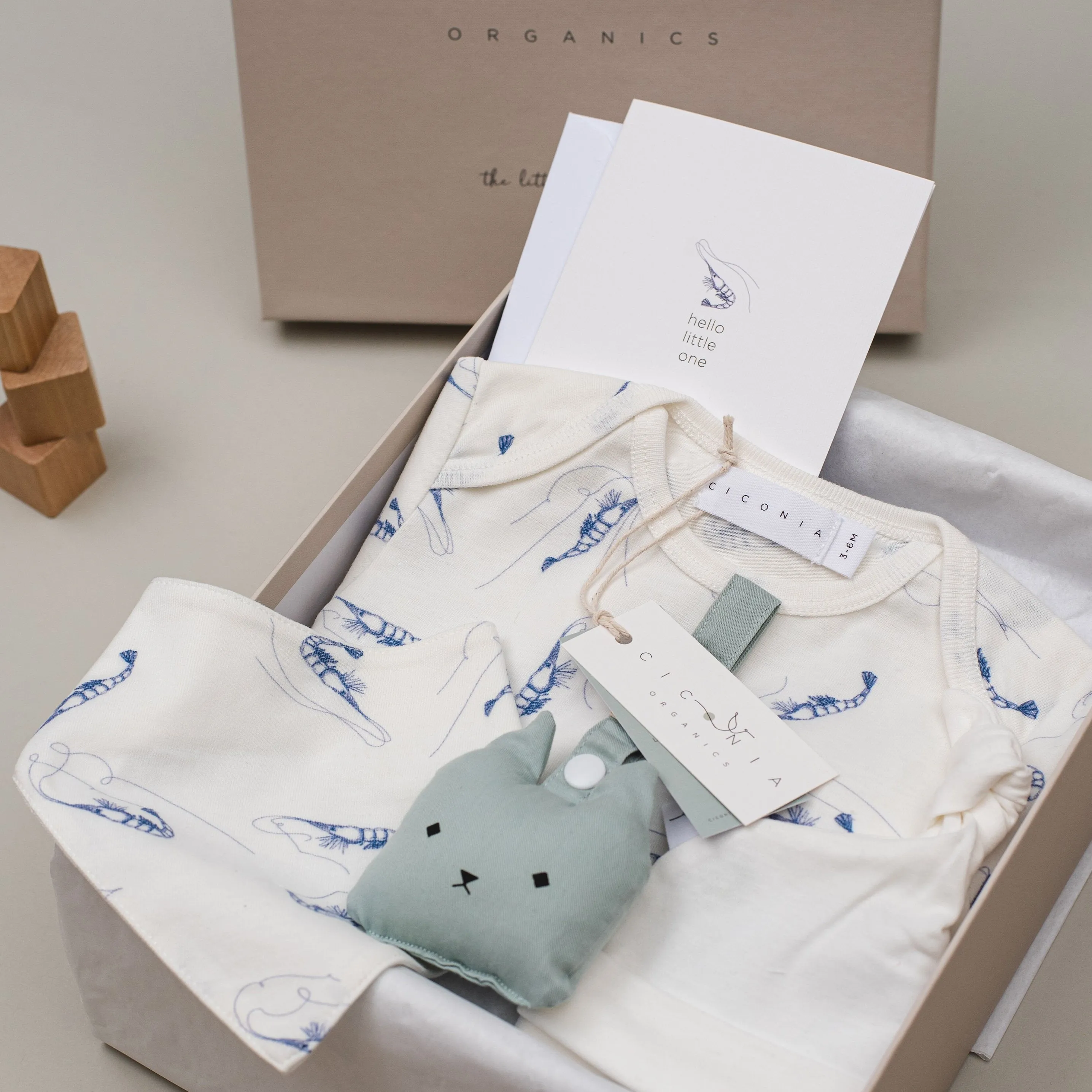 Blue Shrimp Romper Gift Set